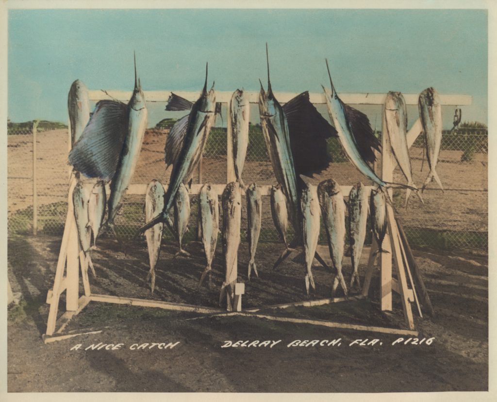 A trip into the history of fishing